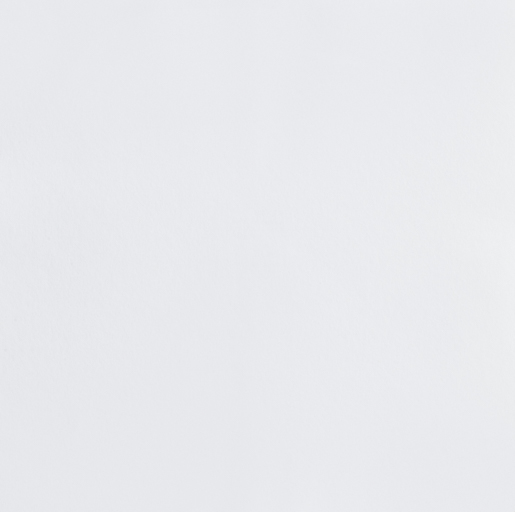 Leco Background Plus 63700 25,00 x 0,75 mt 195g 63700 070